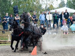 _DSC8066_web